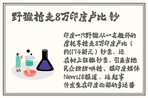 成品网站1688入门网