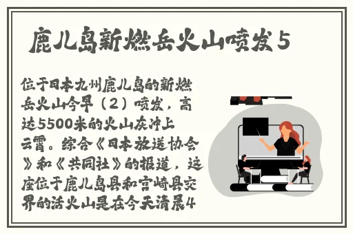 博人禽花火雏田h本